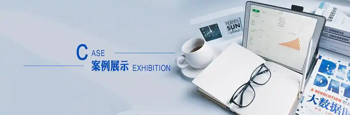 舒城县软件开发